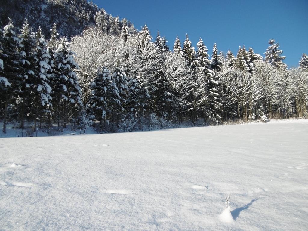 Ferienwohnung Zillertal Bacher ชลิทเทอร์ส ภายนอก รูปภาพ
